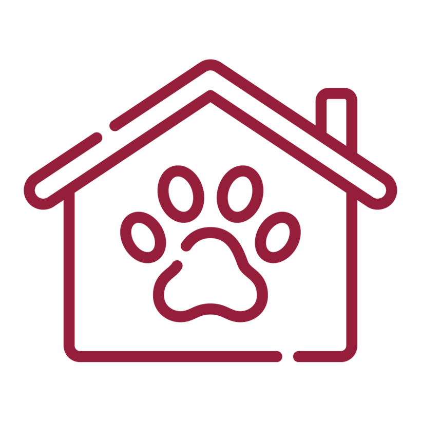 stats icon voor asieldieren opgevangen waarvan 1767 honden en 2556 katten 4 291